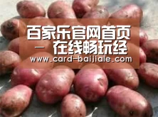 产品展示标题5