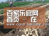 种植基地八