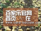 种植基地八(图1)