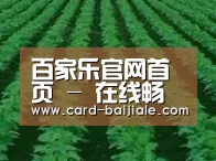 种植基地六